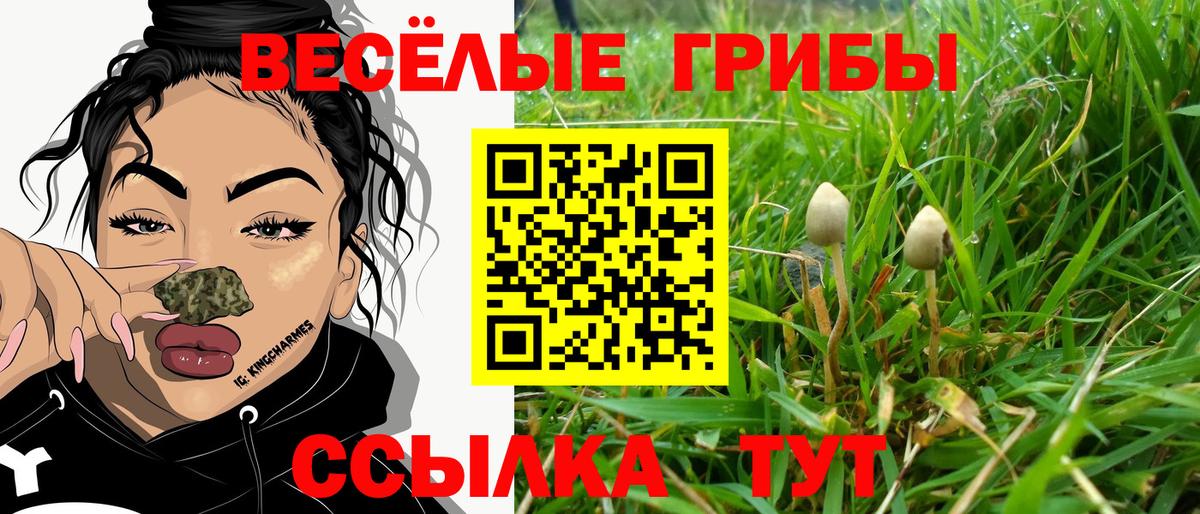 Галлюциногенные грибы Psilocybe Мариинск