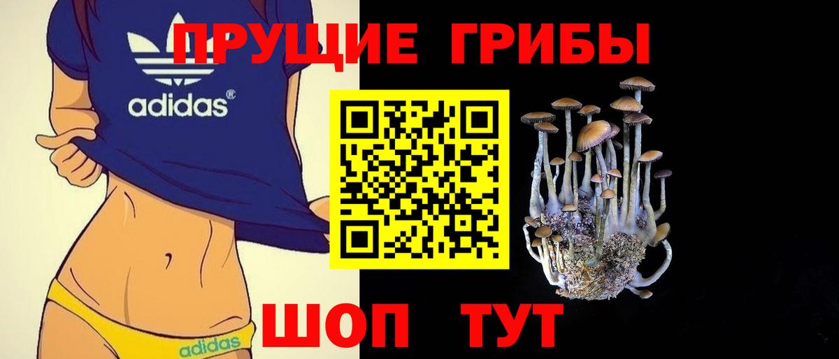 купить закладку  Вход с VPN  Мариинск  Галлюциногенные грибы Magic Shrooms 